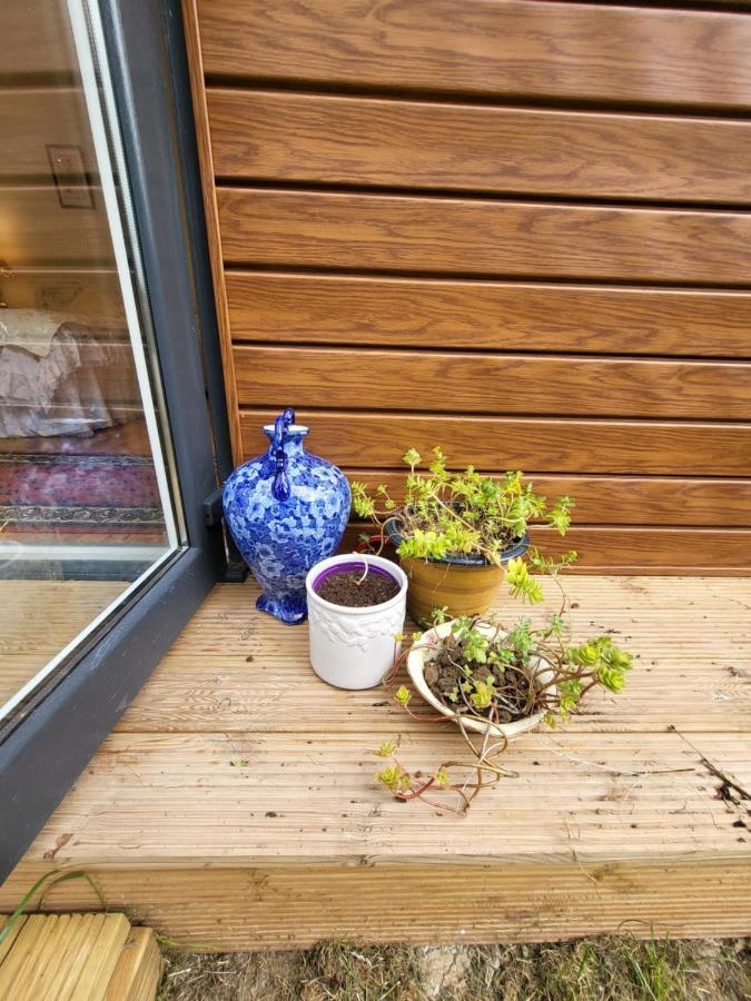 The Apple And Plum Cottage Studio Apartment New Reading Kültér fotó