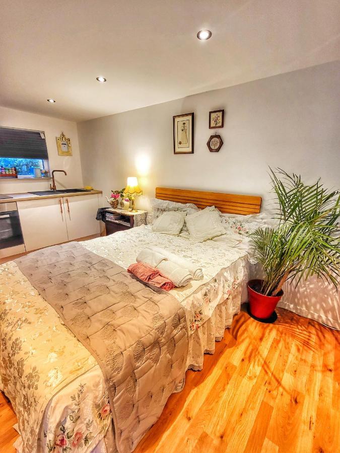 The Apple And Plum Cottage Studio Apartment New Reading Kültér fotó